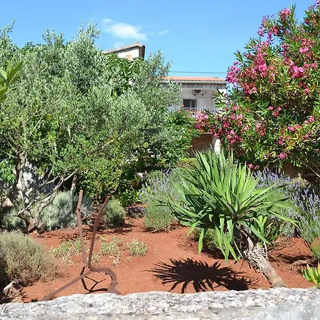Apartamento Basina