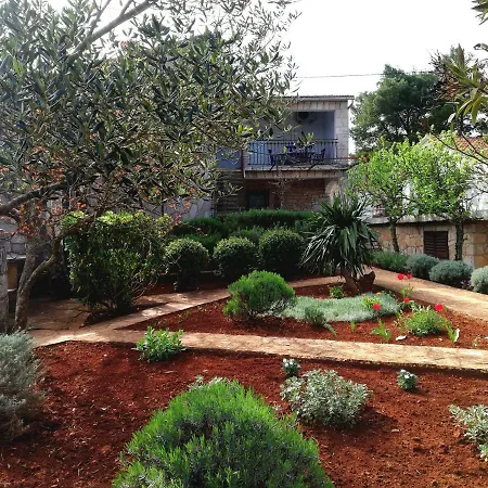 Basina Rated Exceptional Apartamento *