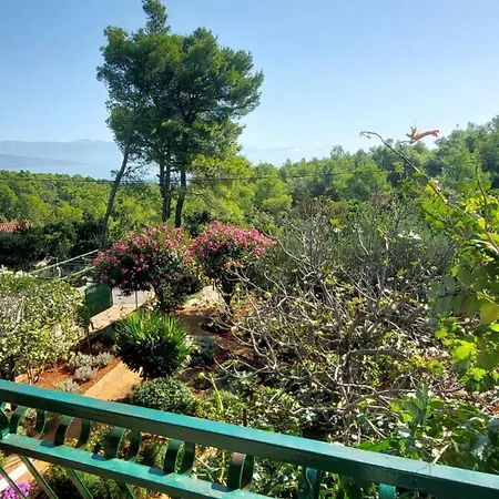 Basina Apartman *