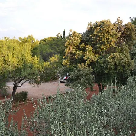 Apartment Basina