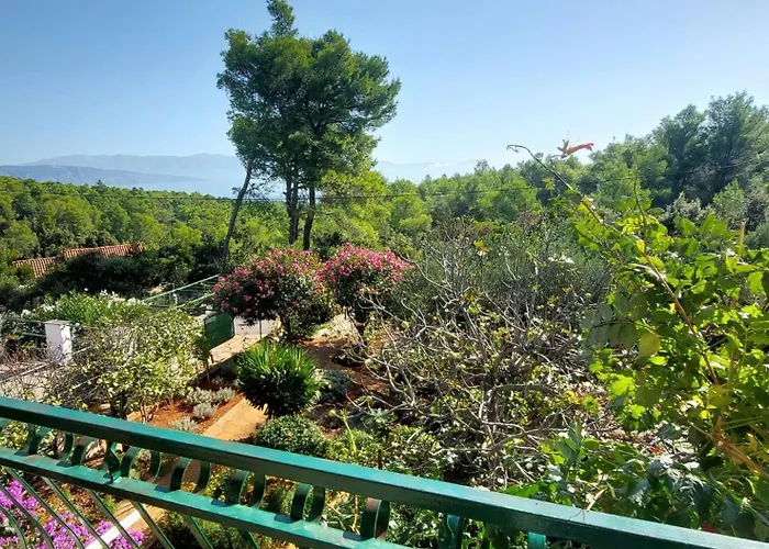 Basina Appartamento *