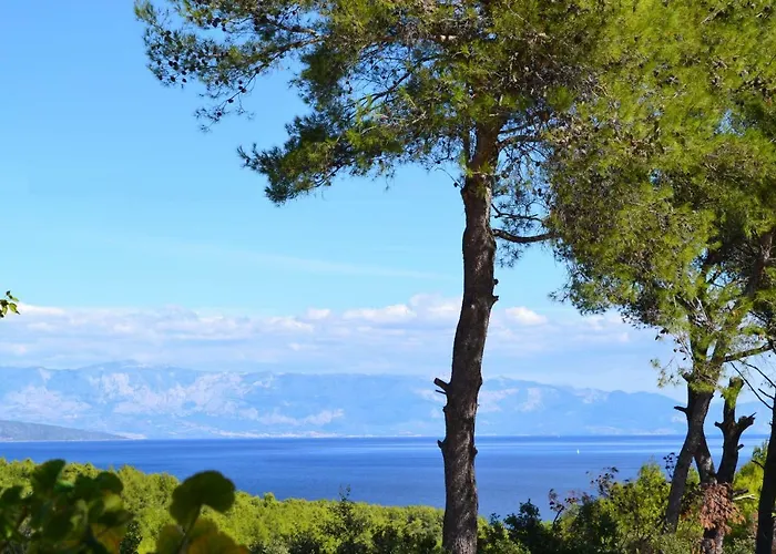 Appartamento Basina *