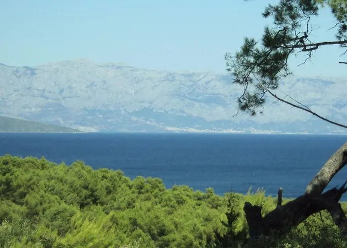 Basina Appartamento *