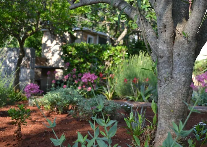 Appartamento Basina Vrbanj