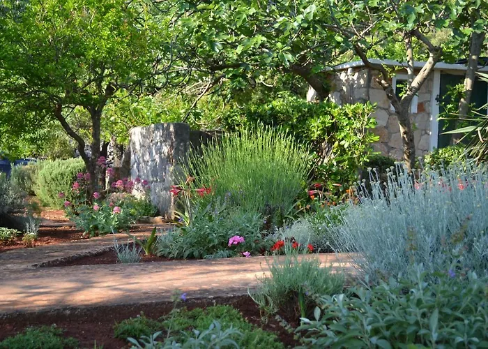 Basina Appartamento *